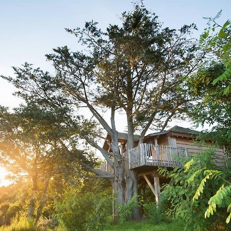 La Gree Des Landes - Eco-Hotel-Spa Yves Rocher La Gacilly Kültér fotó