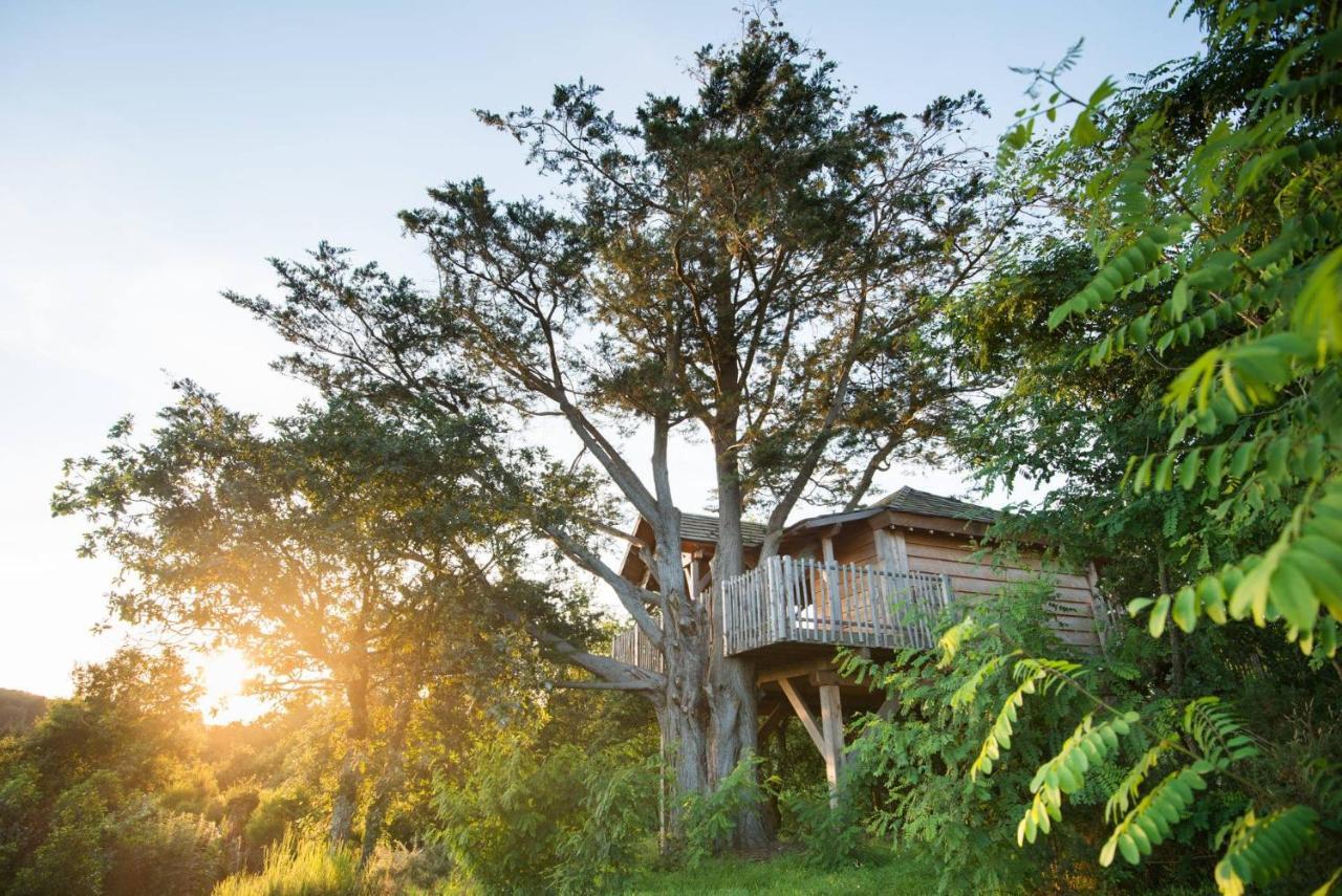 La Gree Des Landes - Eco-Hotel-Spa Yves Rocher La Gacilly Kültér fotó